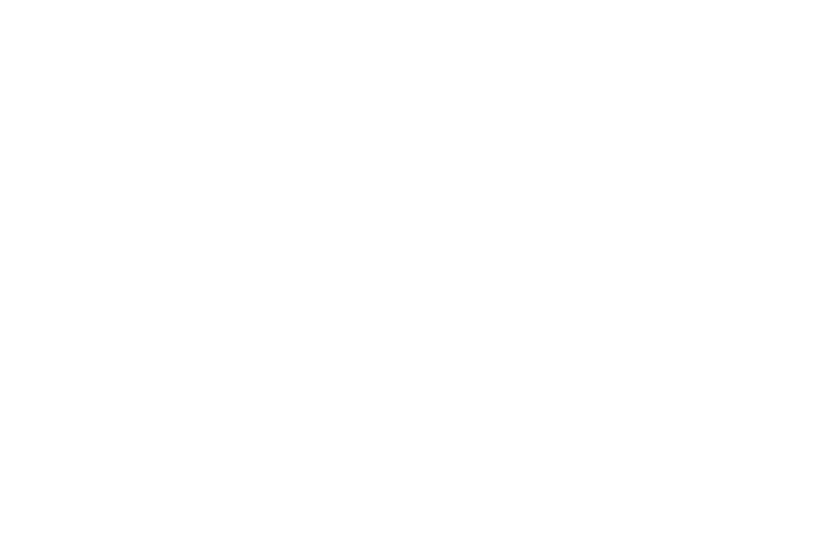 Shango Consult